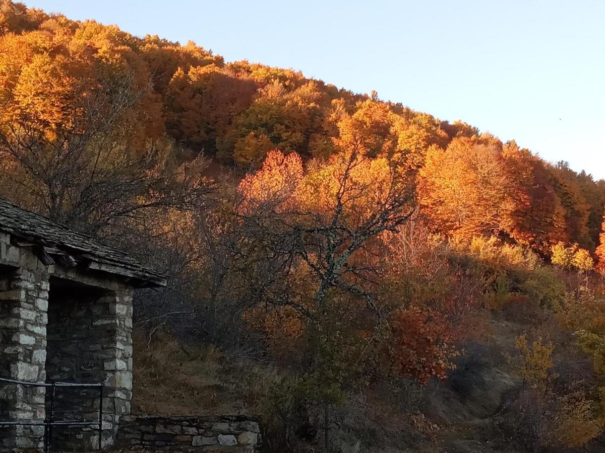 Guesthouse Kontogianni - Materka Nimfaíon Exterior foto